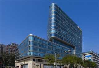 上海30岁后开始脱发