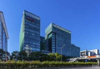 新疆小学古琴价格咨询